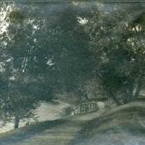 "Lovers Lane" - Mystic Lake