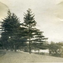 Boulevard Entrance to Medford Boat Club