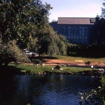 Library & Mill Pond