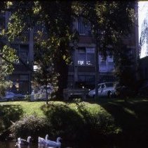Laundry Building overlooking Mill Pond
