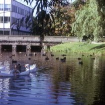 Aberjona River at Mt. Vernon Street Bridge