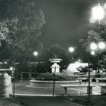 The Common at Night