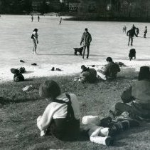 Skating at Winter Pond
