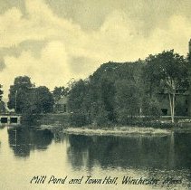 Mill Pond