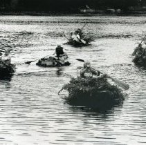 Hauling the Weeds to Shore