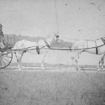 Carriage at the Reservoir