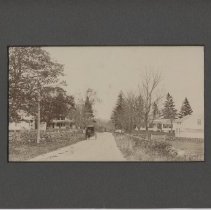 Drift Road/Head of Westport