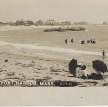 Westport Harbor, Mass.