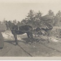 Dr. Paris/horse-drawn wagon