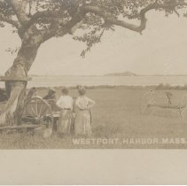 Westport Harbor, Mass