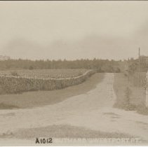 Suthard's Westport Point