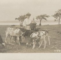 Girl with cows and chicken