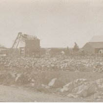 Stony field on Westport Farm