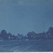 Horses and Carriages at Westpr