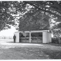 Costa's Vegetable Stand