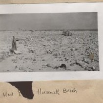 West Beach, Horseneck Beach