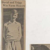 Davis and Tripp - award winners