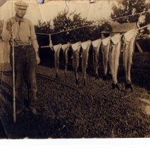 Man near fish hanging on a line