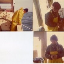 Trawling cod fish - F/V Bearded Lady 1076