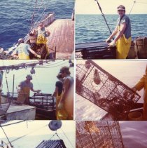 Landing & emptying traps - F/V SideShow