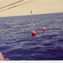 Lobster Buoys  - F/V Side Show 1975