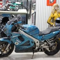Veronica Feeling's 1994 Honda VFR750F