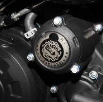 2022 Xiangshuai XS650