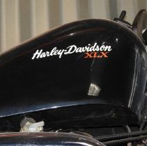 1983 Harley-Davidson Sportster XLX