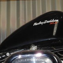 1983 Harley-Davidson Sportster XLX