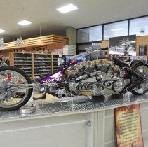 1976 Arlen Ness "TWO BAD"