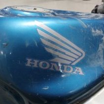 Veronica Feeling's 1994 Honda VFR750F