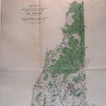 New Hampshire forest cover
