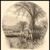 The White Mountains from Conway Meadows