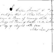 Bean-Bean Marriage Certificate, dated 6 Aug 1880