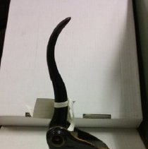 Duluth, Wesley embosser