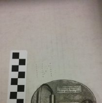 Buckle, Circuit Rider