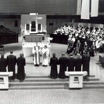Ordination 1981