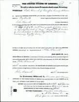 The United States of America