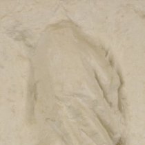 Two Hands by George Segal