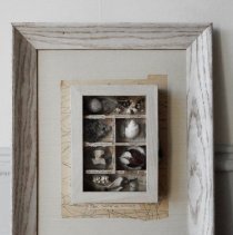 Blanc Cabinets de Curiositie