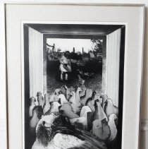 Craters & Pigeons drift thru time, immoral to the age of the beat