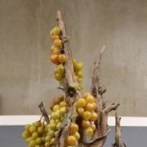 Untitled (Fruit Tree)