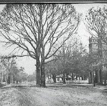 Young's Female College