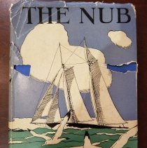 The Nub cover