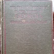 The Seed that was Sown in the Colony of Georgia: The Harvest and the Aftermath, 1740-1870