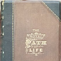 The Royal Path of Life: Or, Aims and Aids to Success and Happiness