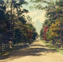 Winnstead Plantation