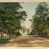 Winnstead Plantation