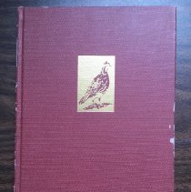 The Georgia-Florida Field Trial Club, 1967-1983