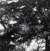 Youth Center - T.C. Mitchell House